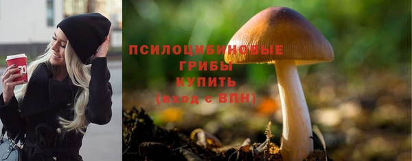 apvp Белоозёрский