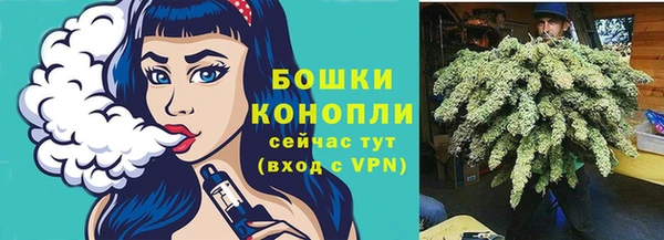 ECSTASY Богородск