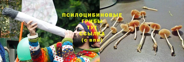 СК Богданович