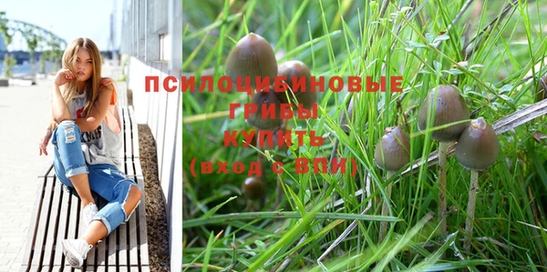 СК Богданович