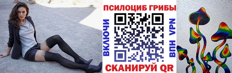 Псилоцибиновые грибы Cubensis  Купить  Нижнекамск 