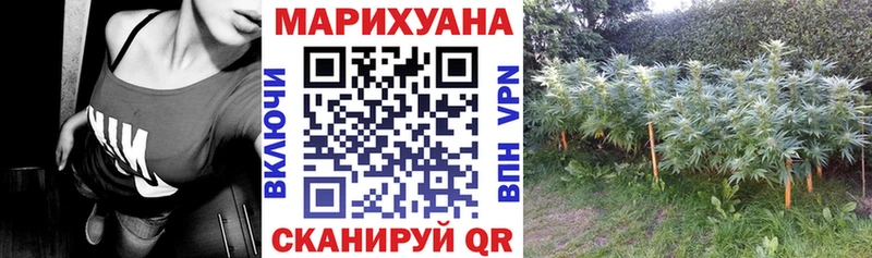 Канабис White Widow  Купить где  Нижнекамск 